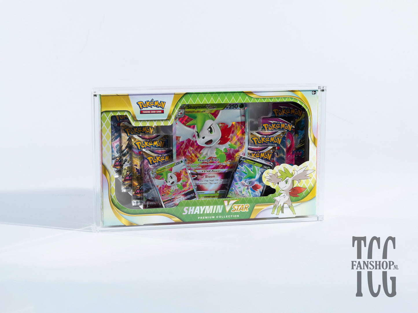 Pokémon Tag Team Premium Collection Acryl Case